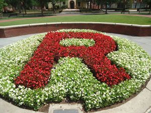 Wikidata and R: a perfect pair - Wikimedia Australia