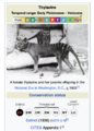 Thumbnail for version as of 00:19, 7 September 2026