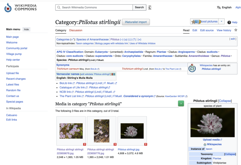 File:Upload to Commons from iNaturalist.png